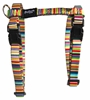 Picture of Rainbow fancy cat harness and leash for doogy cats